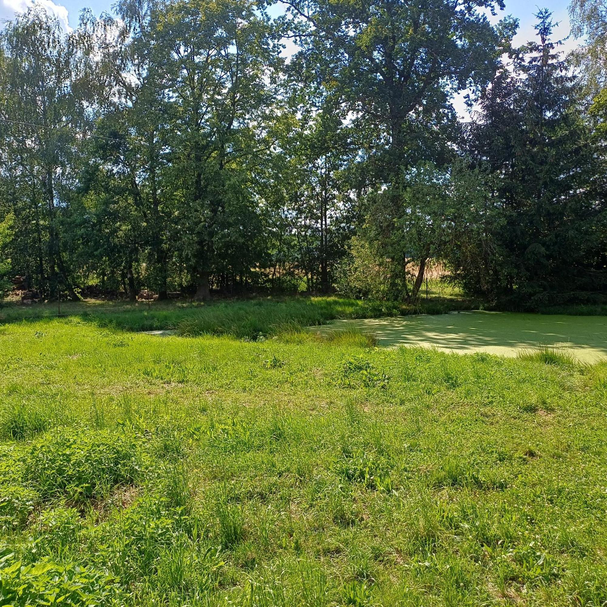 Appartamento Statek U Spulaka Lomnice nad Lužnicí Esterno foto